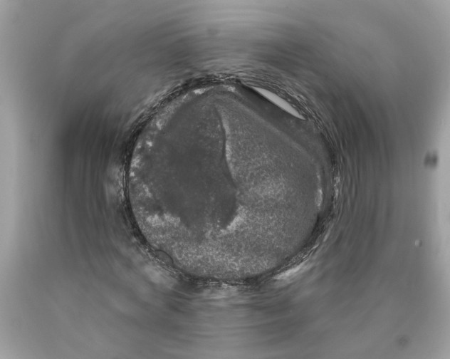 X0000089960772200707201948