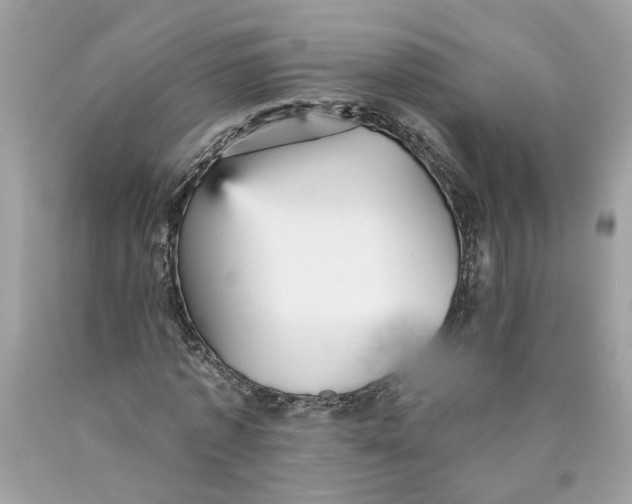 X0000089960773200707201948