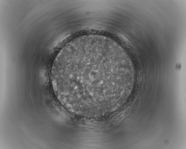 X0000089960774200707201948