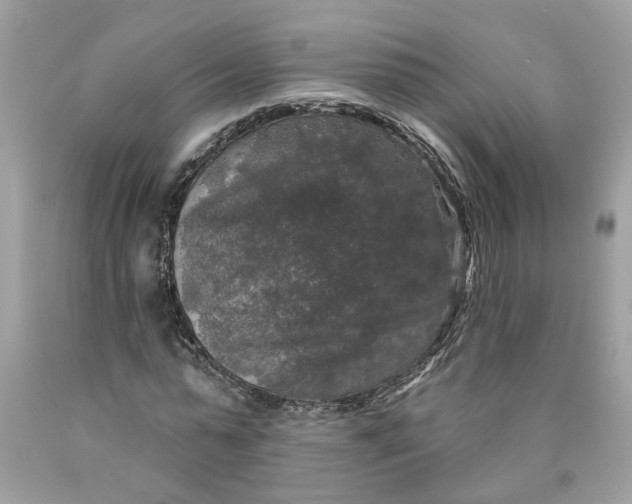 X0000089960775200707201948