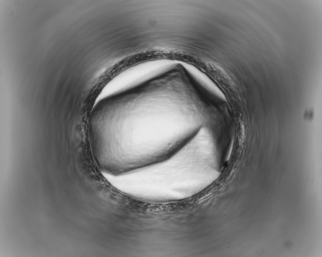 X0000089960776200707201948