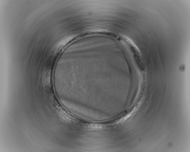 X0000089960777200707201948