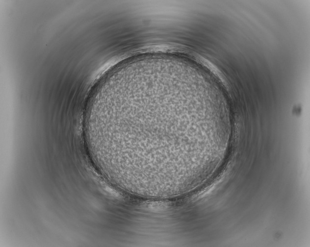 X0000089960778200707201948