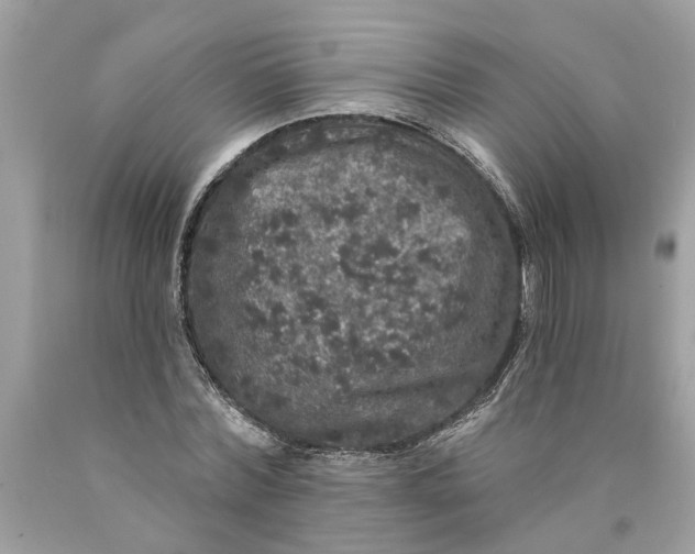 X0000089960780200707201948