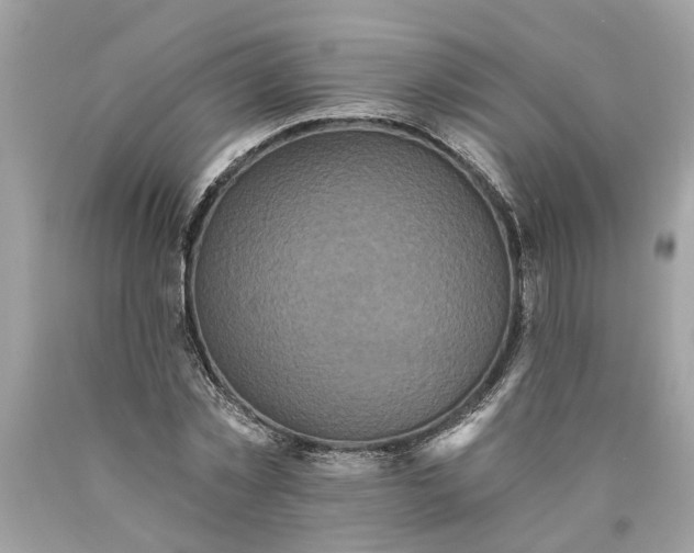 X0000089960781200707201947