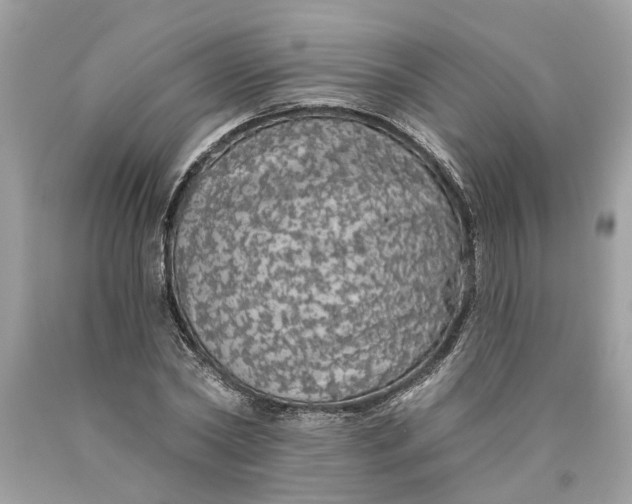 X0000089960782200707201947