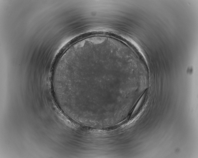 X0000089960783200707201947