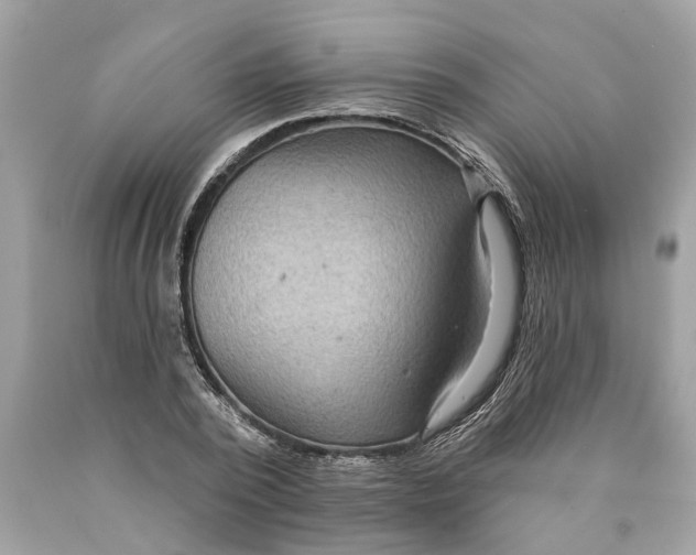 X0000089960784200707201947