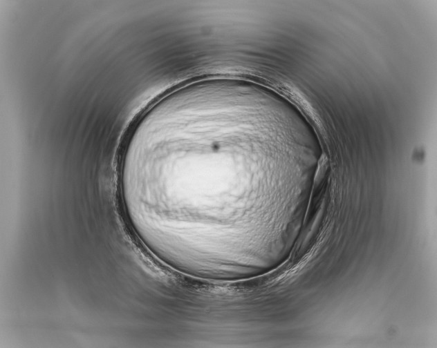 X0000089960787200707201947