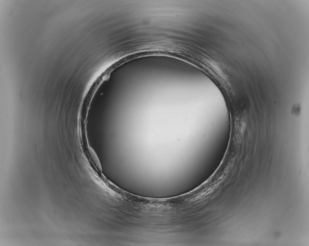 X0000089960788200707201947