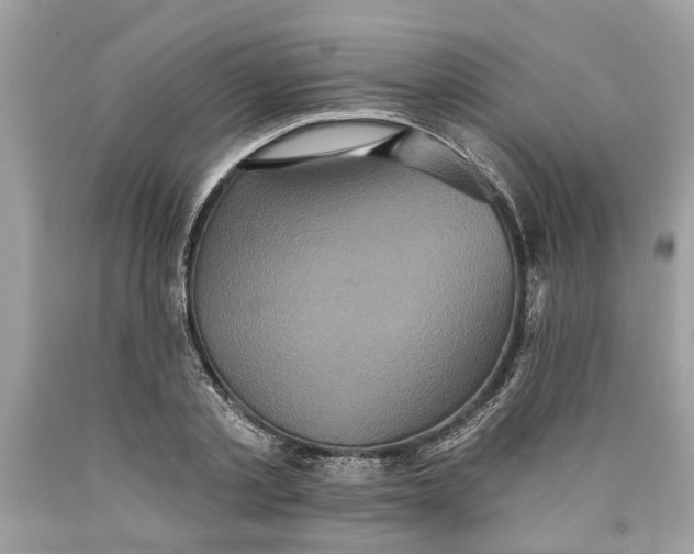 X0000089960789200707201947