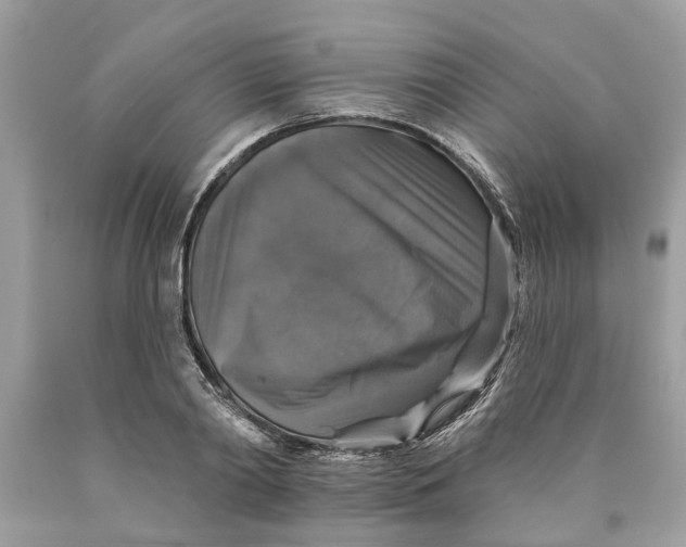 X0000089960790200707201947