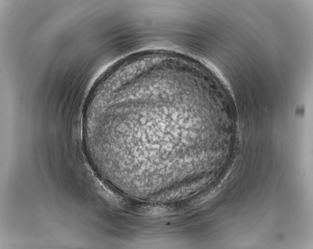 X0000089960791200707201947