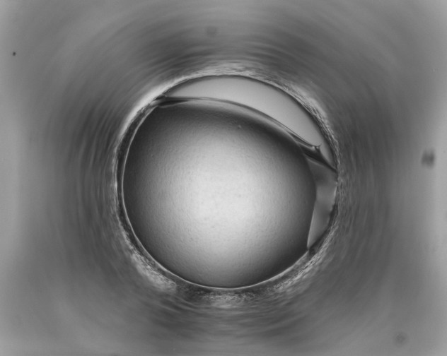 X0000089960792200707201947