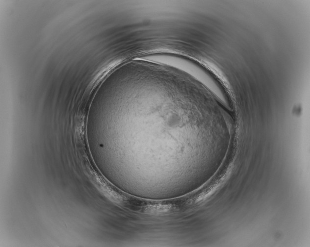 X0000089960793200707201947