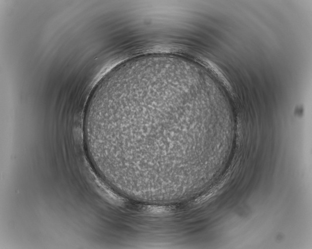 X0000089960794200707201947