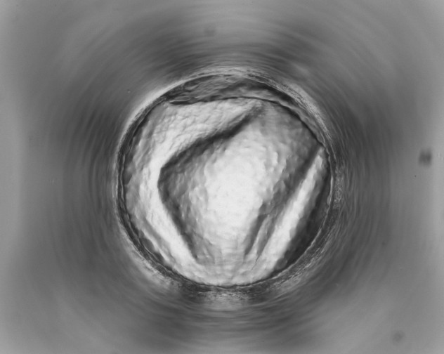 X0000089960795200707201947