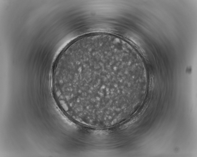 X0000089960796200707201947