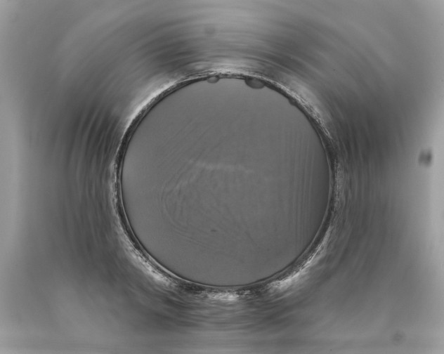 X0000089960798200707201947