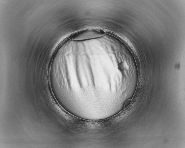 X0000089960799200707201947