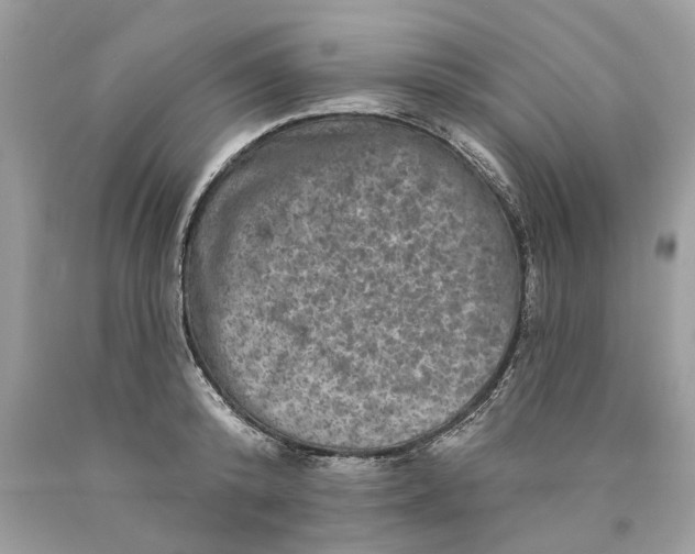 X0000089960800200707201947