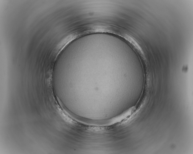 X0000089960801200707201947