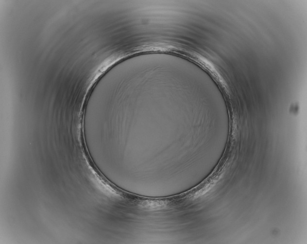 X0000089960802200707201947