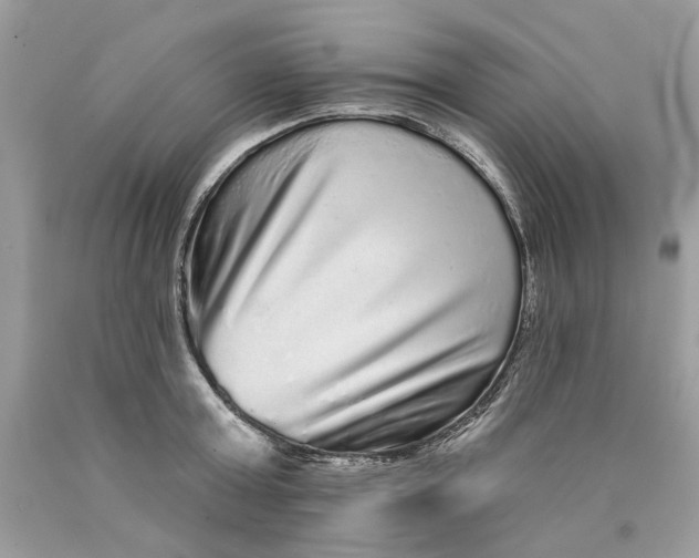 X0000089960803200707201947