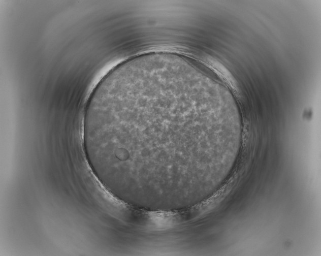 X0000089960804200707201947