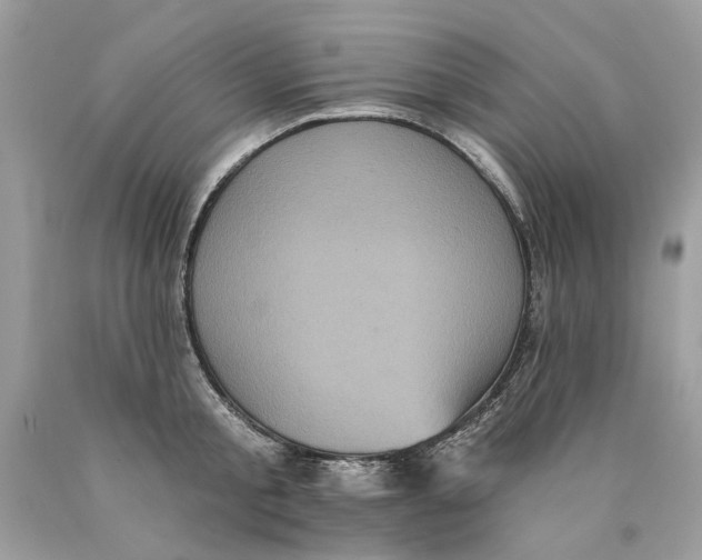 X0000089960805200707201947