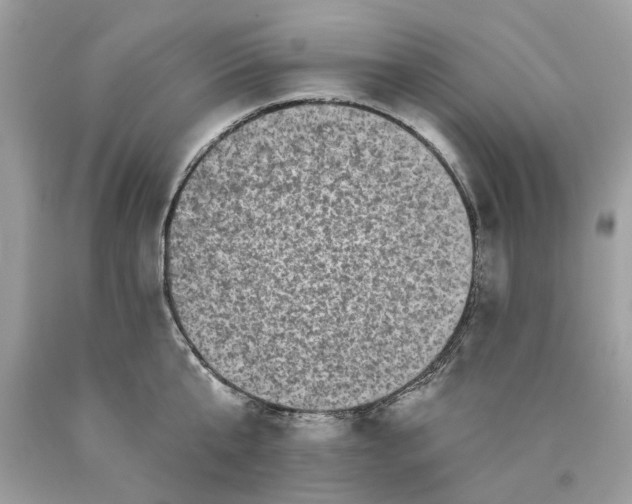 X0000089960807200707201947