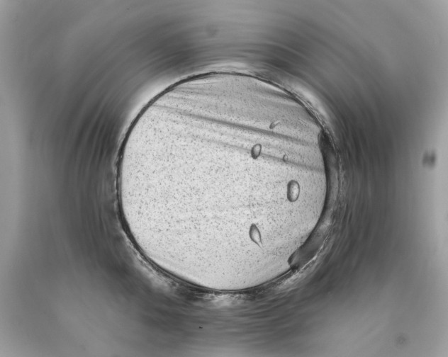 X0000089960808200707201947