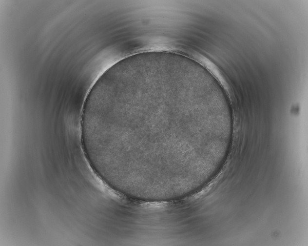 X0000089960810200707201947