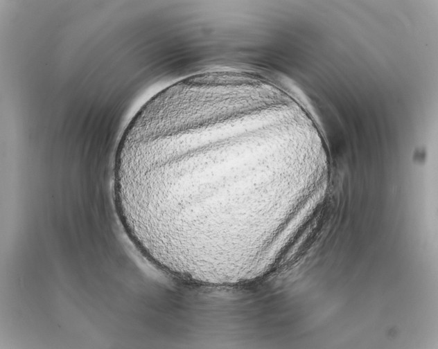 X0000089960811200707201947