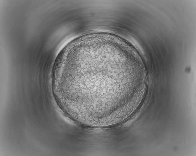 X0000089960814200707201947