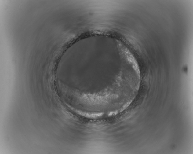 X0000089960817200707201946