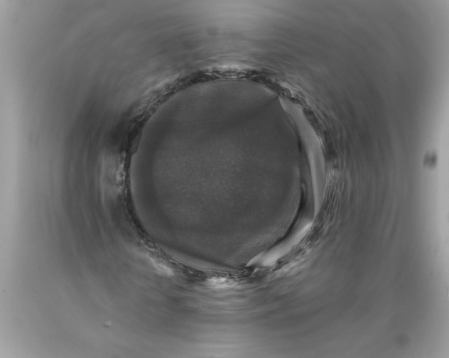 X0000089960818200707201946