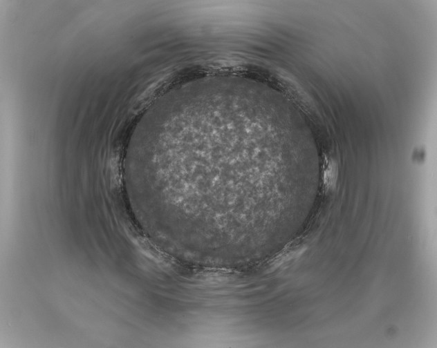 X0000089960819200707201946