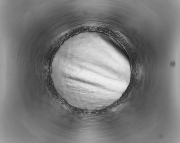 X0000089960821200707201946