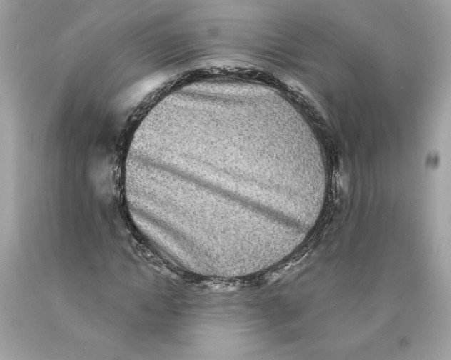 X0000089960822200707201946