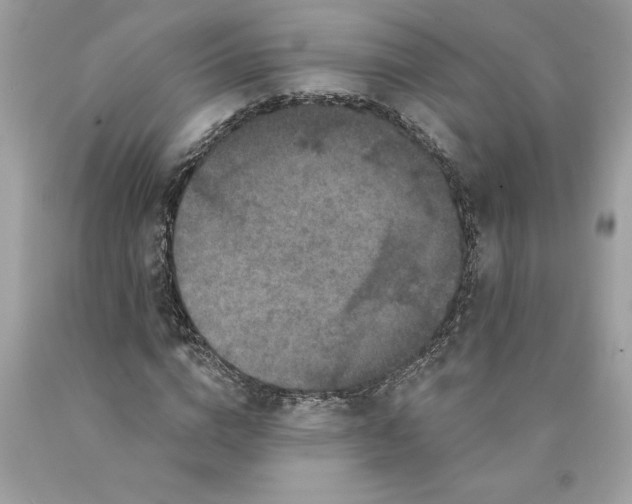 X0000089960824200707201946