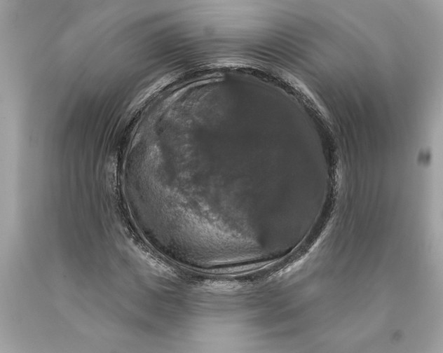 X0000089960825200707201946