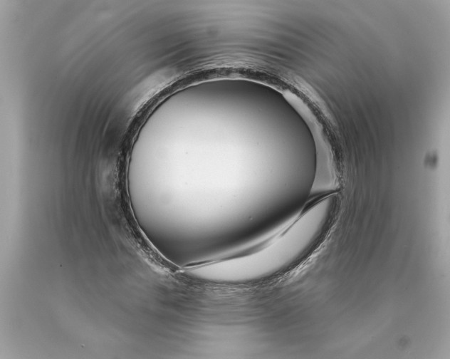 X0000089960826200707201946