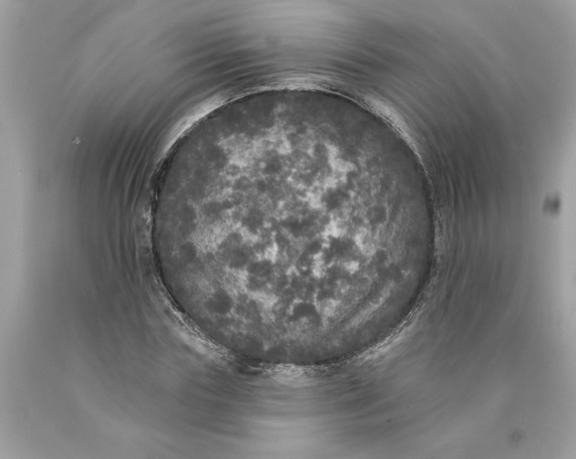 X0000089960827200707201946