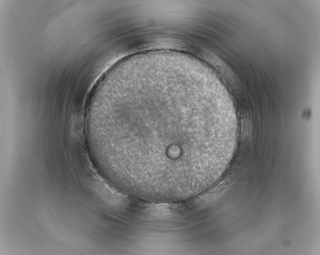 X0000089960828200707201946