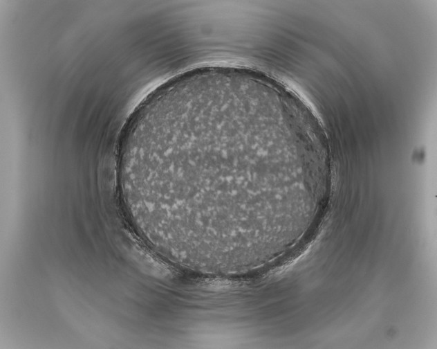 X0000089960829200707201946