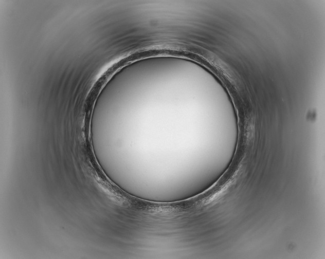 X0000089960830200707201946