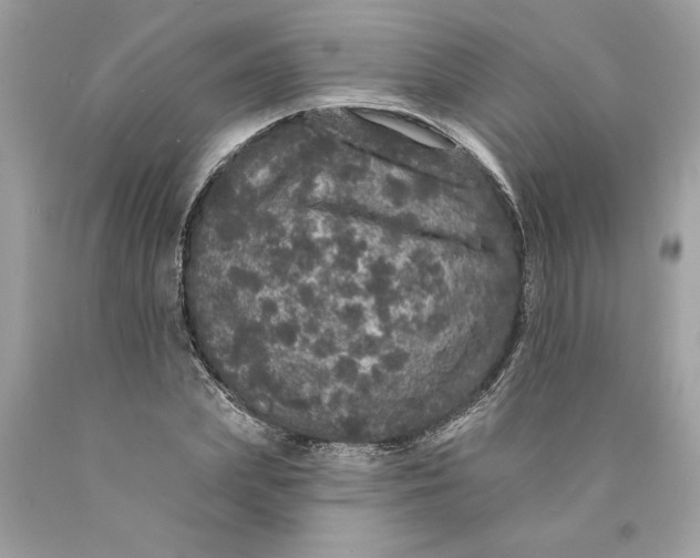 X0000089960831200707201946