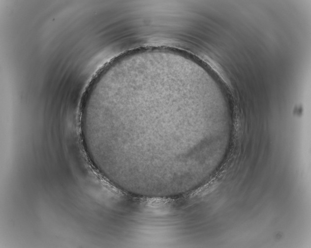 X0000089960832200707201946