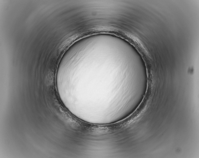 X0000089960833200707201946